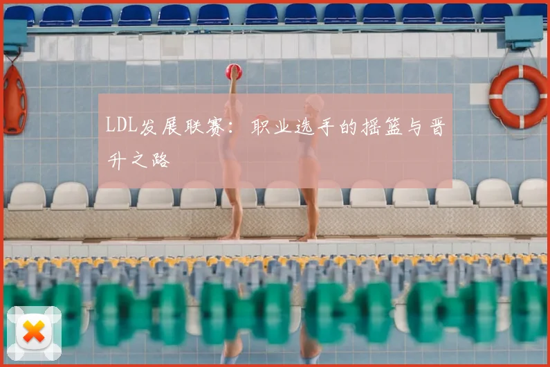 LDL发展联赛：职业选手的摇篮与晋升之路