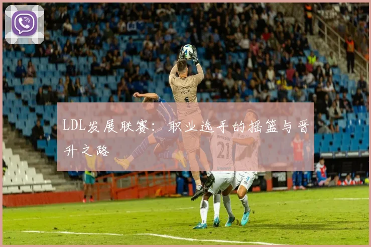 LDL发展联赛：职业选手的摇篮与晋升之路