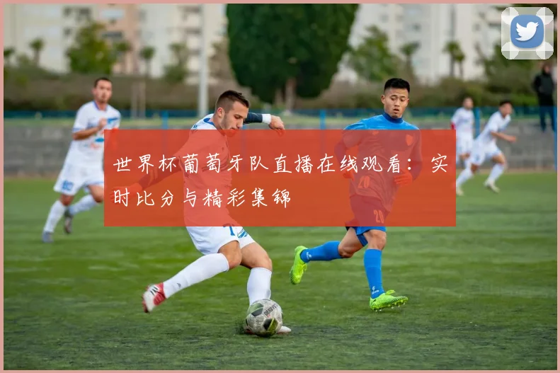 世界杯葡萄牙队直播在线观看:实时比分与精彩集锦