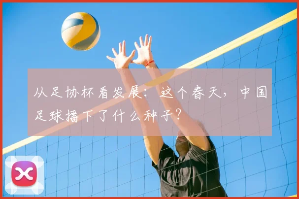 从足协杯看发展：这个春天，中国足球播下了什么种子？
